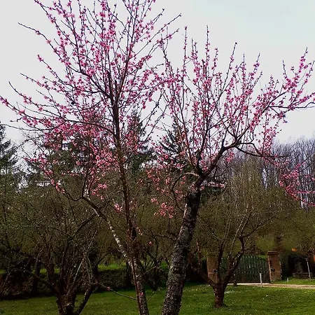 Bed And Breakfast Monticelli Capranica